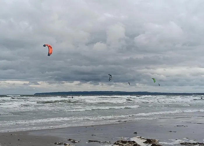 Дом отдыха Deichhaus Boddentraum *