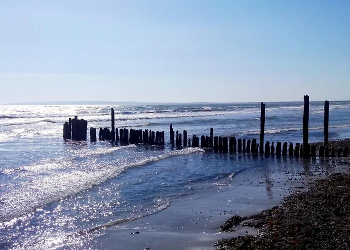 Дом отдыха Deichhaus Boddentraum *